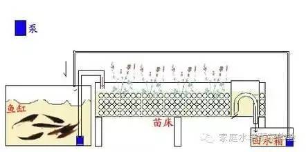 蔬菜无土栽培加盟_无土栽培蔬菜骗局_新一代无土栽培蔬菜投资成本