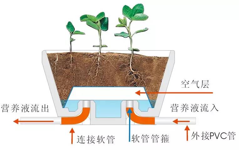 蔬菜无土栽培加盟_无土栽培蔬菜骗局_新一代无土栽培蔬菜投资成本