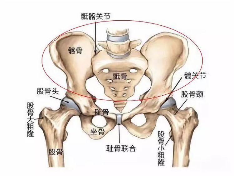 骨盆压揉骗局_压骨盆手法_压盆骨视频