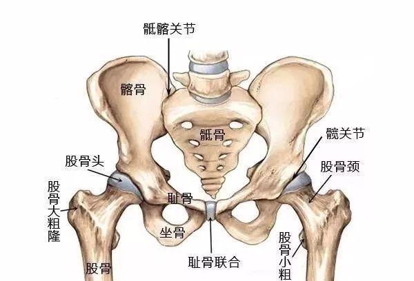 压骨盆手法_压盆骨视频_骨盆压揉骗局