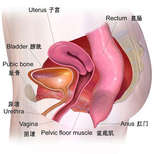 骨盆压揉骗局_压骨盆手法_压盆骨视频