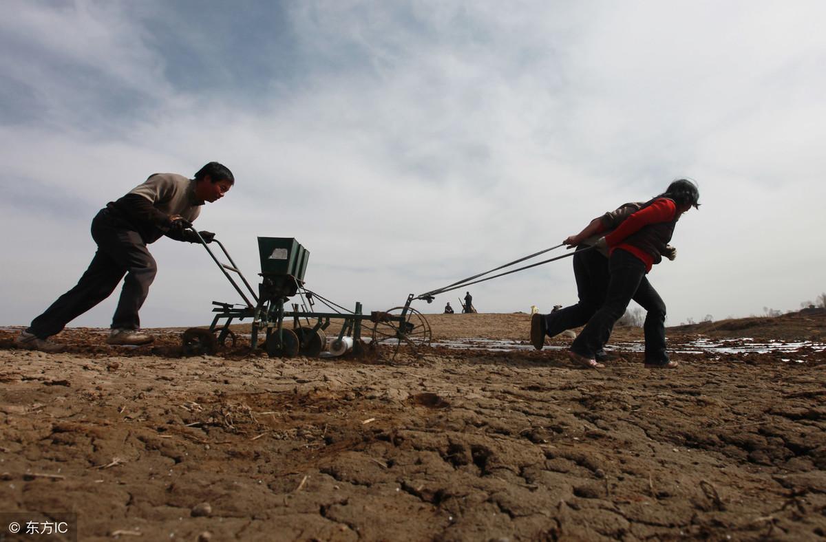 可降解地膜的骗局_骗局降解地膜可信吗_降解地膜的价格