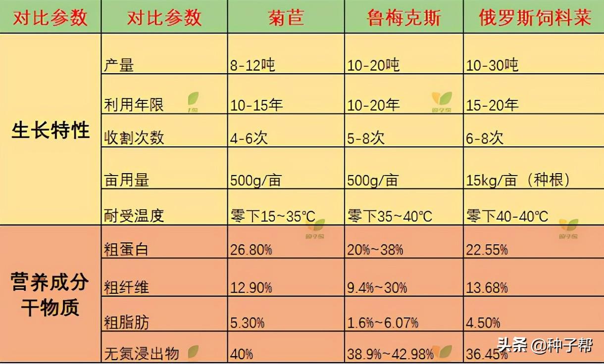 俄罗斯饲料菜种植骗局_饲料俄罗斯骗局种植菜犯法吗_俄罗斯饲料菜种植视频